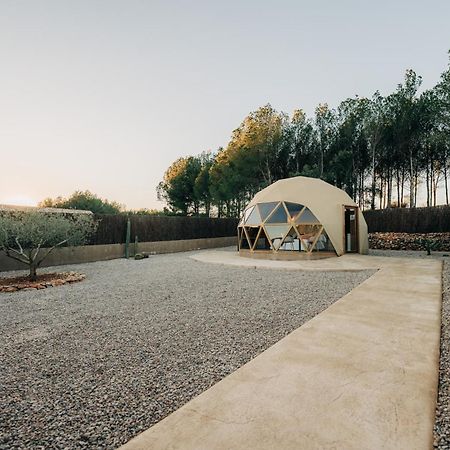 El Moli Glamping 호텔 Adzaneta 외부 사진